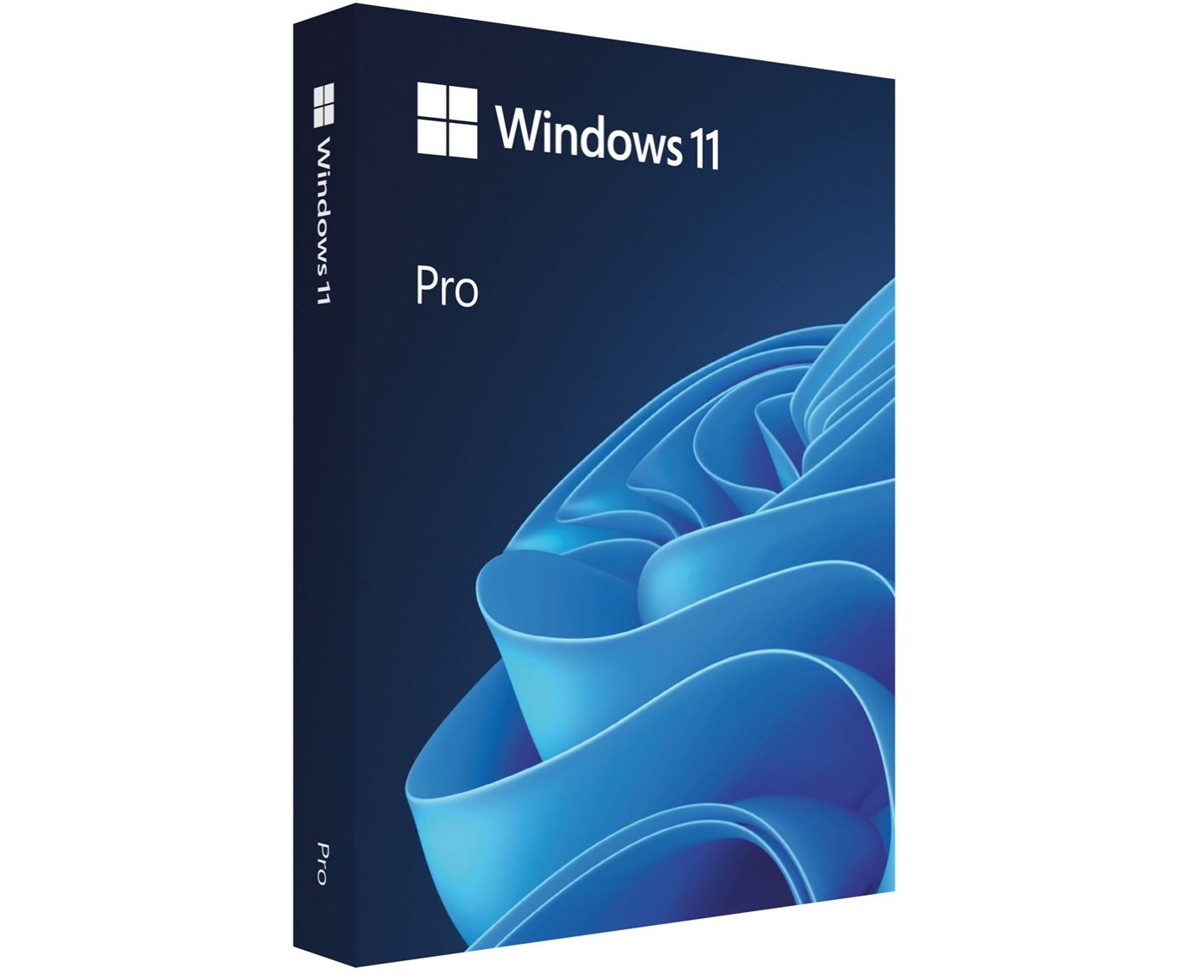 (image for) Windows 11 Pro C64